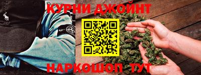 тгк Новозыбков