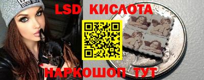тгк Новозыбков