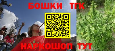 шишки Обь