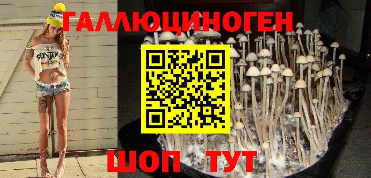 наркота  Галлюциногенные грибы мицелий  Вход с VPN  Строитель 